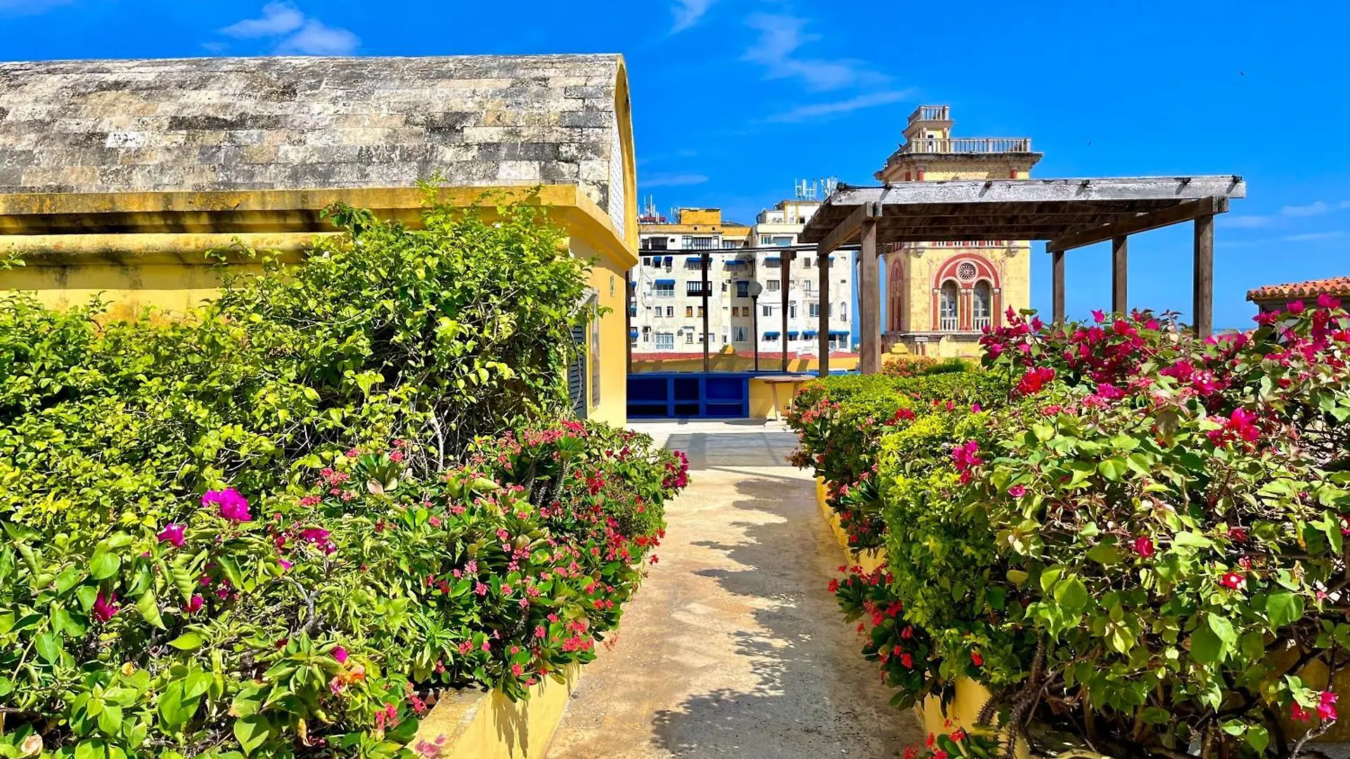 By Calamari Homes - El Porvenir 404 Walled City Cartagena